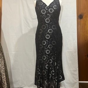 Enfocus  Women Navy Lace Dress